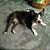 Patricia Wilver's profile image