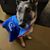 Ellyn Solomon's profile image