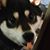 Robert T Tripp's profile image
