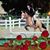 Claudia Whitacre's profile image