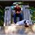 Cheryl Perini's profile image