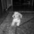 Rosemary Baldwin Sarmas's profile image