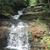 Kathy Chappell Peters's profile image