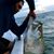 Capt-Luis Flandes III's profile image