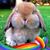 Josie Martin-Thompson's profile image