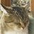 Sandi Richerson's profile image