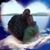 Steve Richards's profile image
