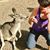 Dawna Graham's profile image