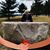 Janet Carle DeLong's profile image
