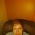 Connie Ross Brock's profile image