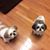 Elaine Tyner Morris's profile image