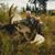 Kevin Hibler's profile image