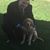 Andrew Varadi's profile image