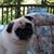 Sandra A Sandy Gregory's profile image