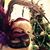 Rita Pourteau's profile image