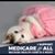 Alix Tobey Southwick's profile image