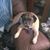 Laura Winternheimer's profile image