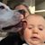 Dawn Wronski Sabin's profile image
