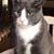 Marcy Wiesen's profile image