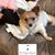 Dorothy Dedmon's profile image