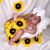 Belin Solano's profile image