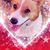 Lisa Poulter's profile image