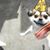 Noah Blessing's profile image
