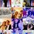 Ana Maria Rodriguez's profile image