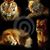 Annmarie White's profile image
