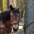 Patti Bush Hendrickson Garcia's profile image