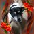 Gary Judd's profile image