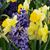 Judy Rogers's profile image