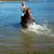 Kathy Bliss's profile image