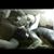 Beki Joy's profile image