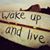 Lidice Paredes Urbizo's profile image
