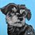 Dave Zimmerman's profile image