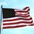 Bill Davidson's profile image