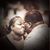 Djenada M. Dunlap's profile image