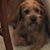 Denny Fones's profile image
