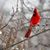 Barbara McLaughlin's profile image