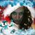 Pam Richard's profile image