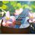 Jeanette Blais's profile image