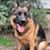 Francine Mansmann's profile image