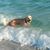 Carol Collins's profile image