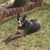 Deb Siraco Cryan's profile image