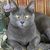 Paulette Truog Fehl's profile image