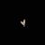 Amber Martin's profile image