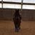 Kathy Clemens's profile image