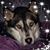 Anna Maria Wolf's profile image