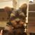 Geo Val's profile image